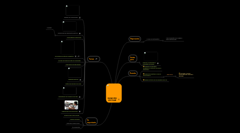 Mind Map: MUNICIPIO ESCOLAR