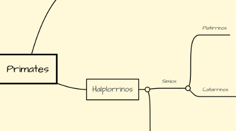 Mind Map: Primates