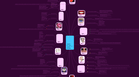 Mind Map: PARTS OF THE BODY IDIOMS