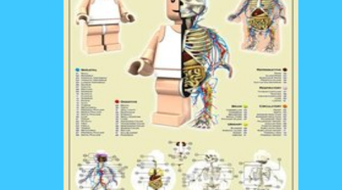 Mind Map: Idioms with arm, back, blood and bone