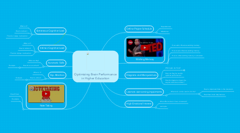 Mind Map: Optimizing Brain Performance in Higher Education