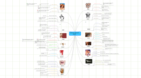 Mind Map: PARTS OF THE BODY IDIOMS