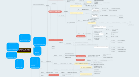 Mind Map: BIOLOGIA CELULAR REPASO 2DO EXAMEN