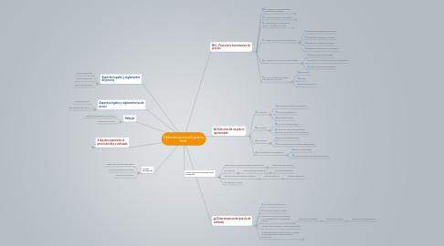 Mind Map: Determinacion del precio final .