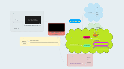 Mind Map: CLASIFICACIÒN DE LOS SERES VIVOS