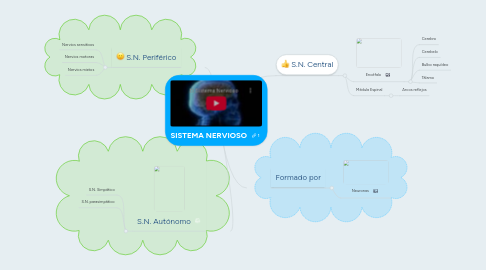 Mind Map: SISTEMA NERVIOSO