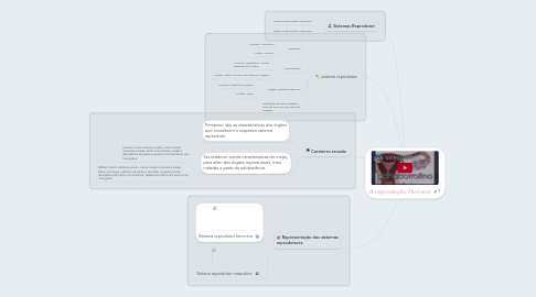 Mind Map: A reprodução Humana