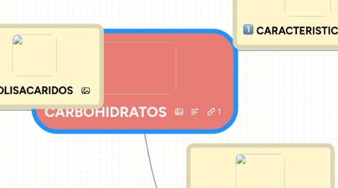 Mind Map: CARBOHIDRATOS