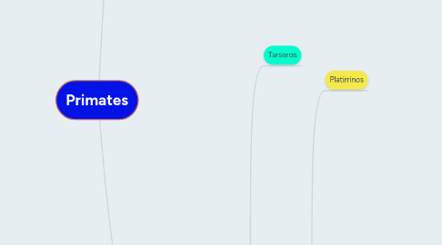 Mind Map: Primates