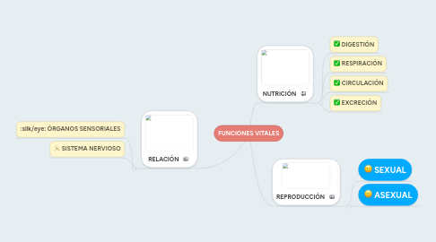 Mind Map: FUNCIONES VITALES