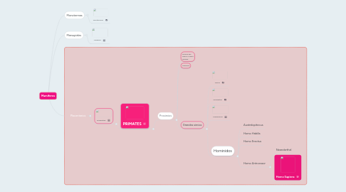 Mind Map: Mamiferos