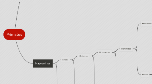 Mind Map: Primates