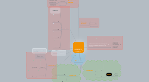 Mind Map: LOS PRIMATES (ORIGEN)