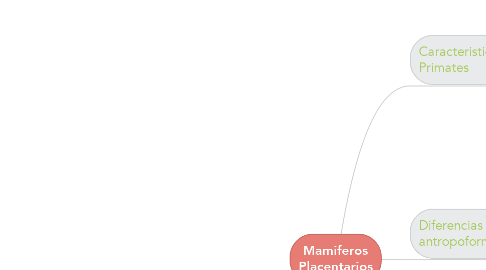 Mind Map: Mamiferos Placentarios