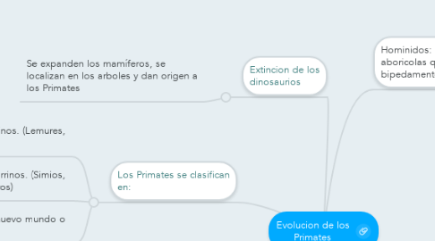 Mind Map: Evolucion de los Primates