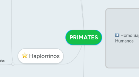 Mind Map: PRIMATES