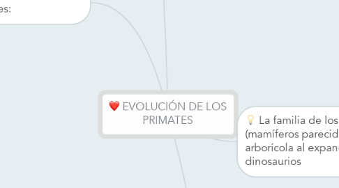 Mind Map: EVOLUCIÓN DE LOS PRIMATES