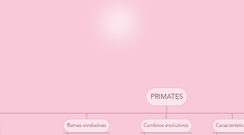 Mind Map: PRIMATES