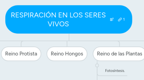 Mind Map: RESPIRACIÓN EN LOS SERES VIVOS