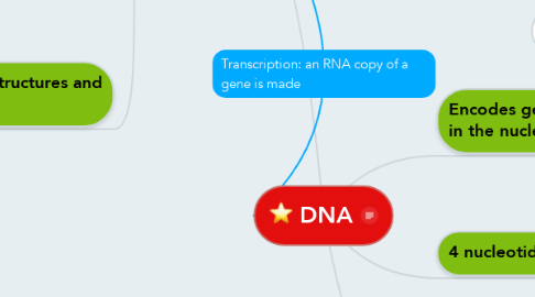 Mind Map: DNA