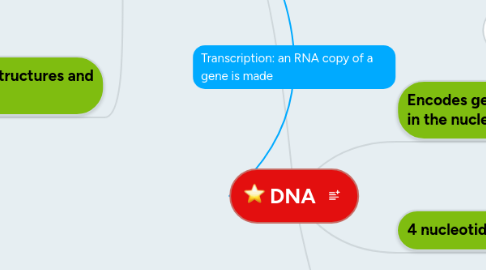 Mind Map: DNA