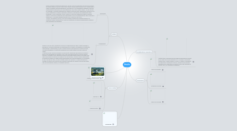 Mind Map: Brasília