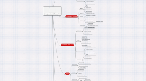 Mind Map: IV. Las prácticas de lectura