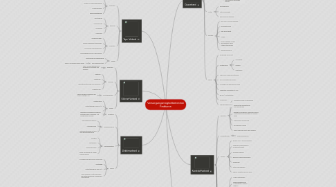 Mind Map: Versorgungsmöglichkeiten bei Frakturen