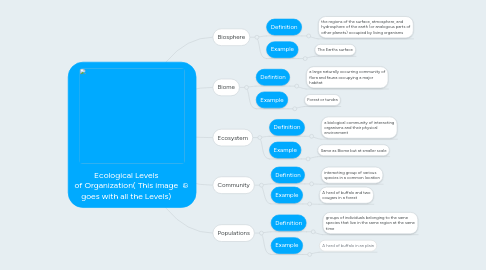 Mind Map: Ecological Levels of Organization( This image goes with all the Levels)