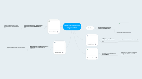 Mind Map: ecological levels of organization