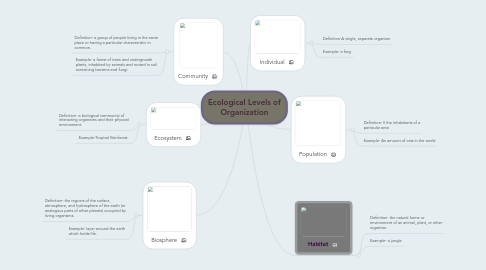 Mind Map: Ecological Levels of Organization