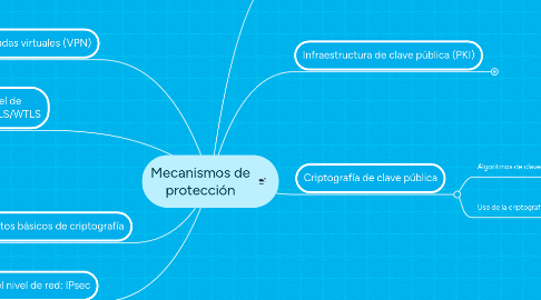 Mind Map: Mecanismos de protección