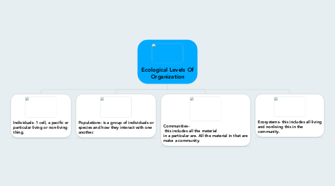 Mind Map: Ecological Levels Of Organization
