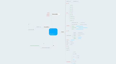 Mind Map: Placa base