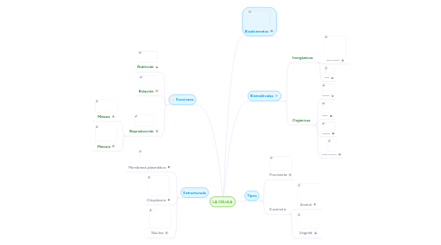 Mind Map: LA CÉLULA