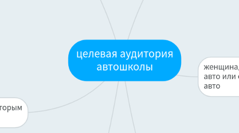 Mind Map: целевая аудитория автошколы