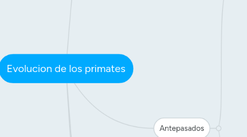 Mind Map: Evolucion de los primates