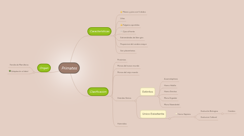 Mind Map: Primates