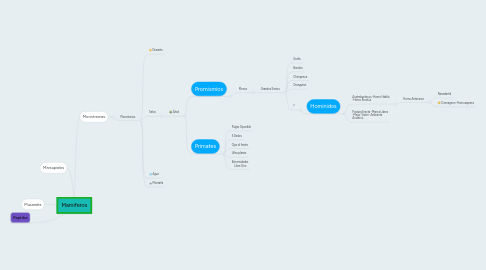 Mind Map: Mamiferos