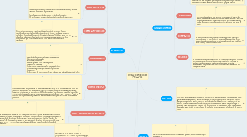 Mind Map: EVOLUCIÓN DE LOS PRIMATES.