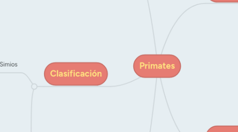 Mind Map: Primates