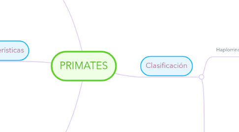 Mind Map: PRIMATES