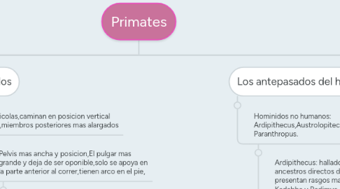 Mind Map: Primates