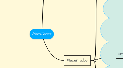 Mind Map: Mamíferos