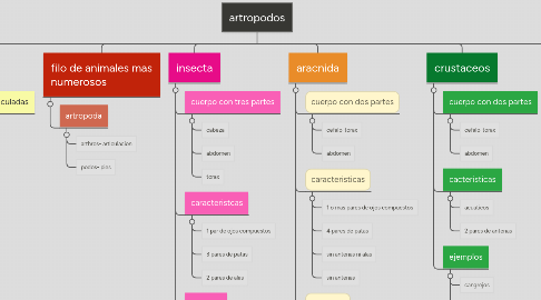 Mind Map: artropodos