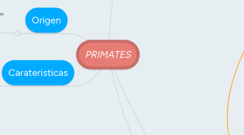 Mind Map: PRIMATES