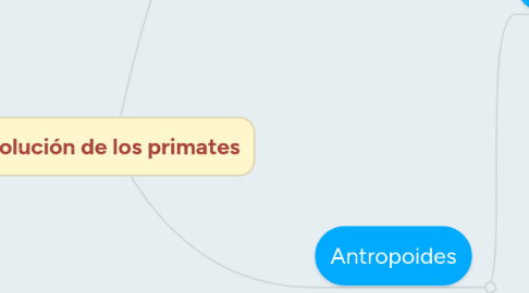 Mind Map: Evolución de los primates