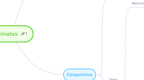 Mind Map: Primates