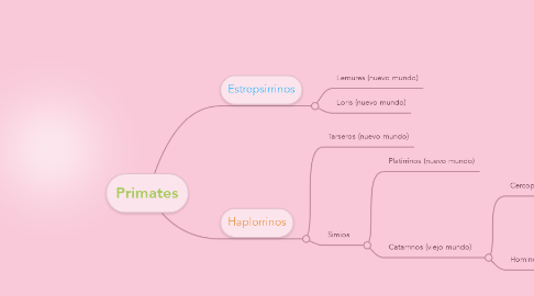 Mind Map: Primates
