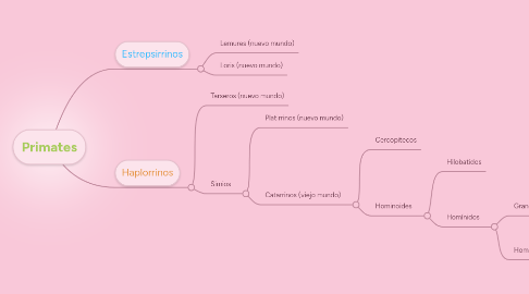 Mind Map: Primates